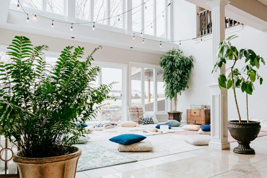 A bright healing space with plants, cushions, and sunlight streaming through the windows