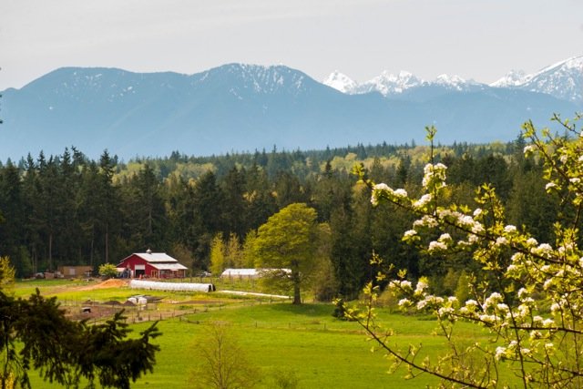 Scenic view of a farm with a red barn, surrounded by green fields and trees, with snow-capped mountains in the background