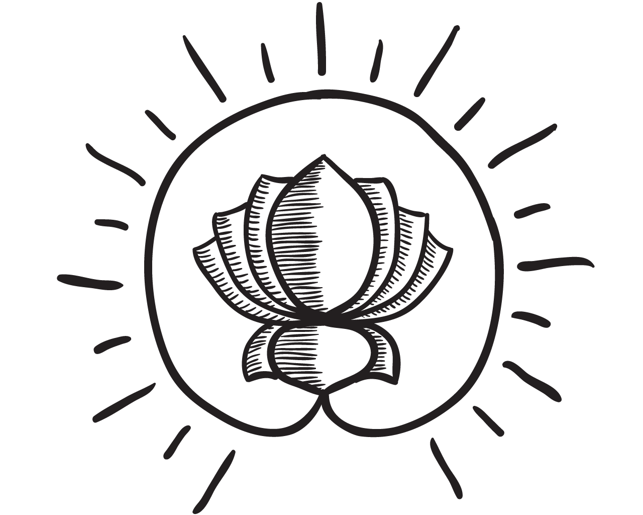 Line drawing of a lotus flower surrounded by rays of light