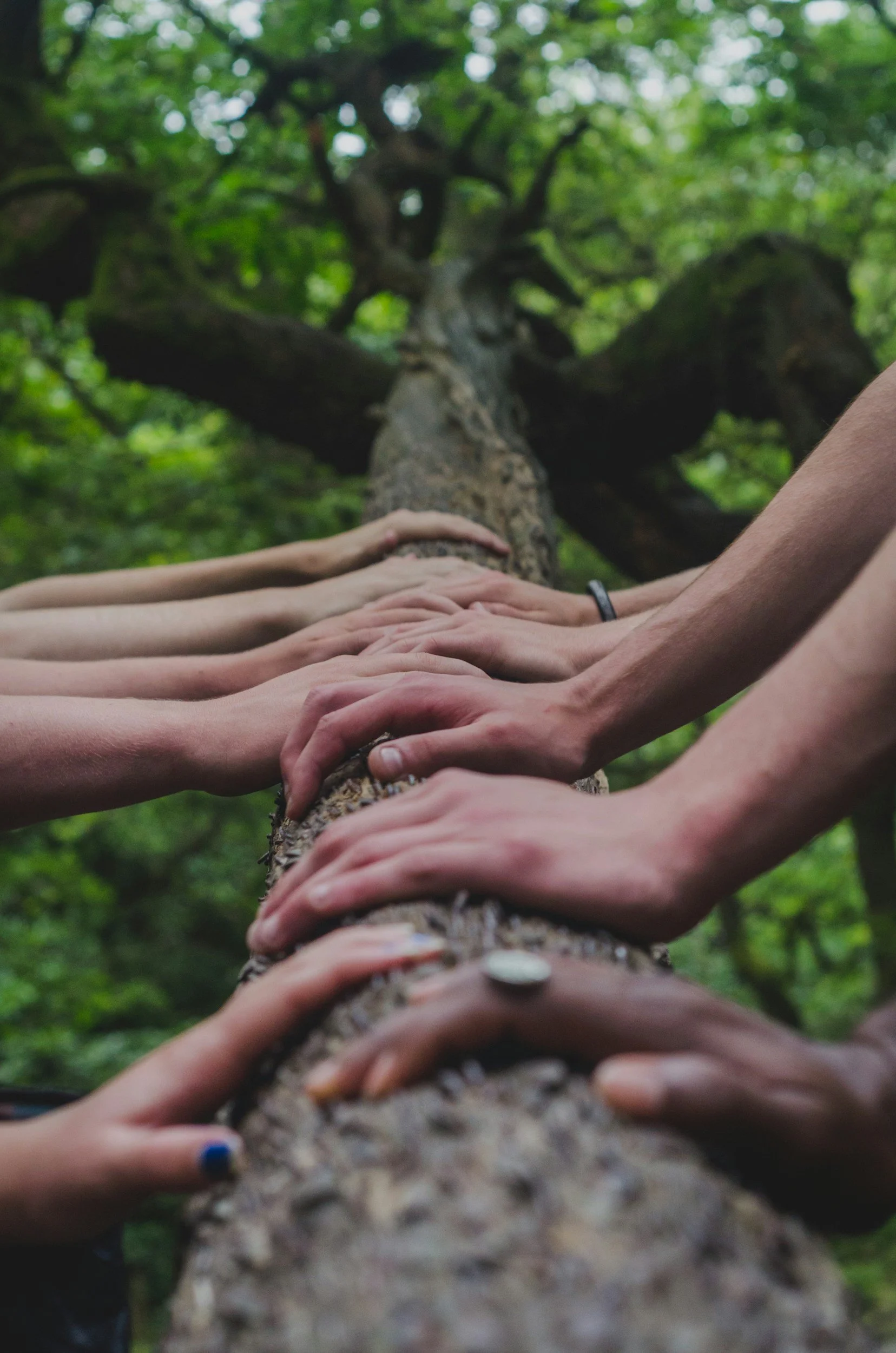 Collaborative Action Update With Prosocial World